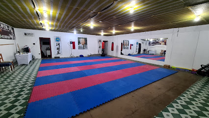 Team Chang Hon, Escuela de Taekwondo ITF Central | Taekwondo, Karate, Artes Marciales, Deportes de Contacto