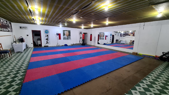 Team Chang Hon, Escuela de Taekwondo ITF Central | Taekwondo, Karate, Artes Marciales, Deportes de Contacto