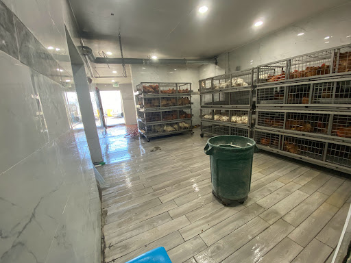 Grocery Store «Sandys Poultry Market», reviews and photos, 305 Madison Ave, Plainfield, NJ 07060, USA