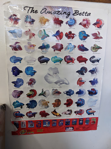 Tropical Fish Store «Tropi-Quatics Pet Center», reviews and photos, 337 S Main St, Lombard, IL 60148, USA