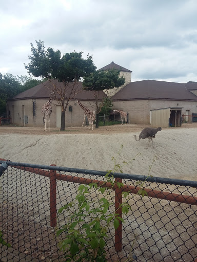 Amusement Park «Como Town», reviews and photos, 1301 Midway Pkwy, St Paul, MN 55103, USA