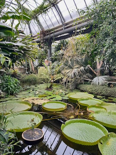Botanická zahrada Přírodovědecké fakulty UK