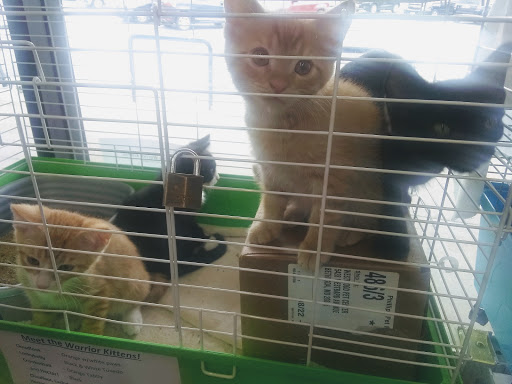 Pet Supply Store «Westwood Pet Center», reviews and photos, 5428 Westbard Ave, Bethesda, MD 20816, USA