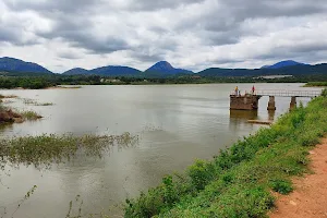Srinivasa Sagara Reservoir image
