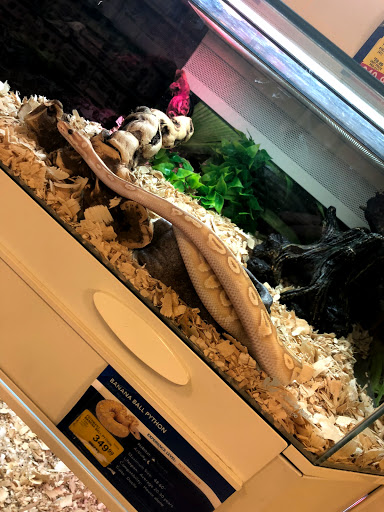 Pet Supply Store «PetSmart», reviews and photos, 5591 TN-153, Hixson, TN 37343, USA