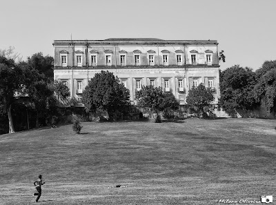 Photos of National Museum of Brazil