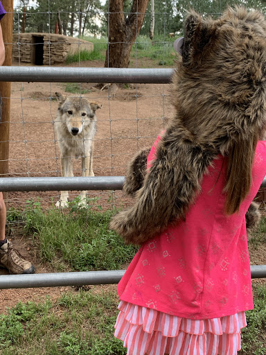 Wildlife Park «Colorado Wolf and Wildlife Center», reviews and photos, 4729 Twin Rocks Rd, Divide, CO 80814, USA