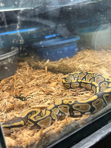 Pet Supply Store «Pet Supreme», reviews and photos, 12823 Foothill Blvd, Sylmar, CA 91342, USA