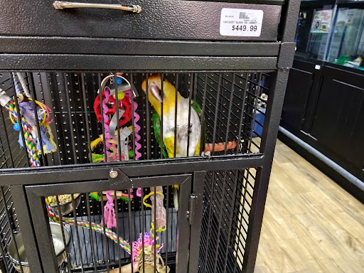 Pet Store «Petland», reviews and photos, 1514 Stonecreek Dr, Pickerington, OH 43147, USA