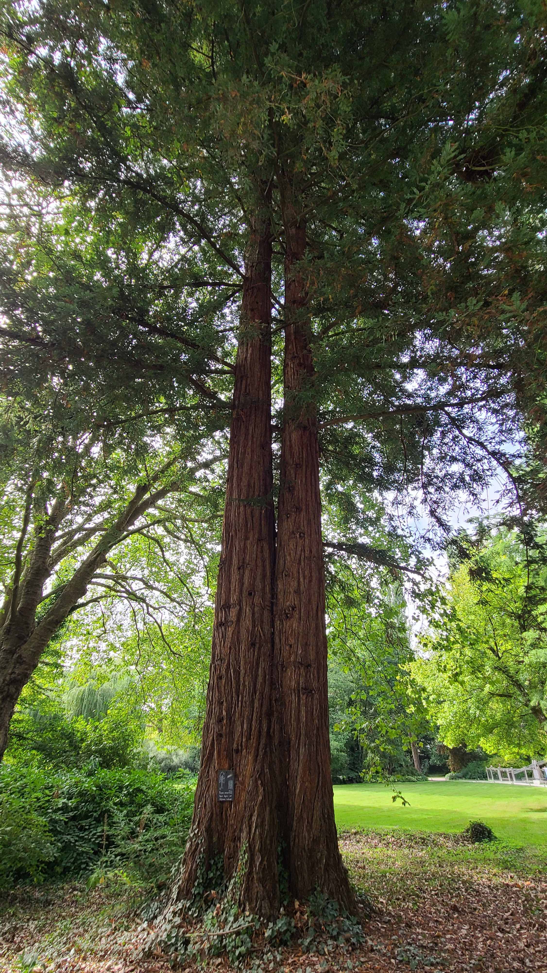 Photo n° 17 de l'avis de Josiane.l fait le 28/08/2023 à 20:08