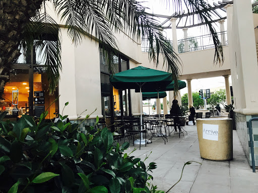 Starbucks image