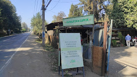 La Huerta de Lupita