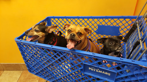 Pet Supply Store «PetSmart», reviews and photos, 1700 Fruitville Pike, Lancaster, PA 17601, USA