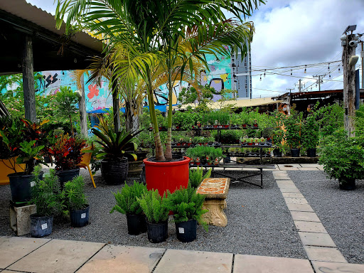 Midtown Garden Center