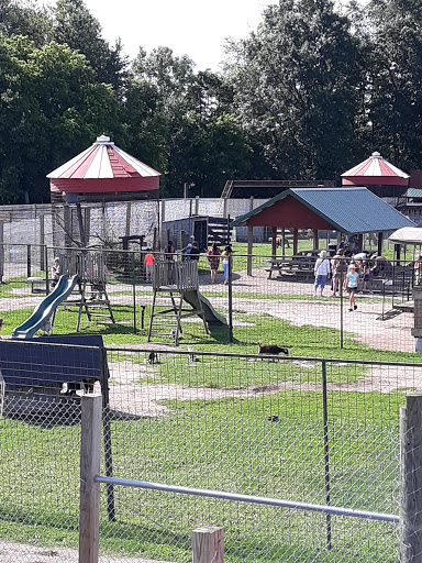 Zoo «Dutch Creek Farm Animal Park», reviews and photos, 6255 N 1000 W, Shipshewana, IN 46565, USA
