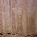 Photo n°4 de l'avis de antonio.r fait le 14/08/2021 à 20:19 sur le  Ristorante Agriturismo La Grotta à Fano