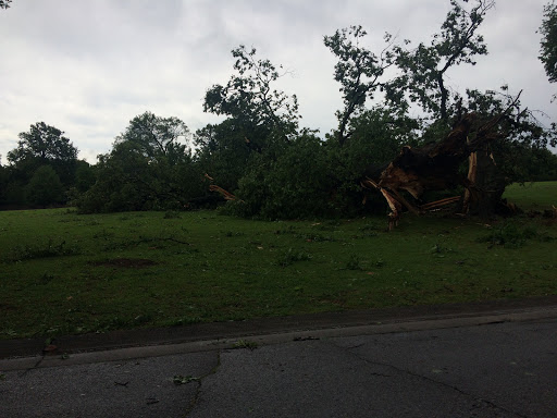 Public Golf Course «The Links At Overton Park», reviews and photos, 2080 Poplar Ave, Memphis, TN 38104, USA