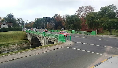 Puente Larrañaga