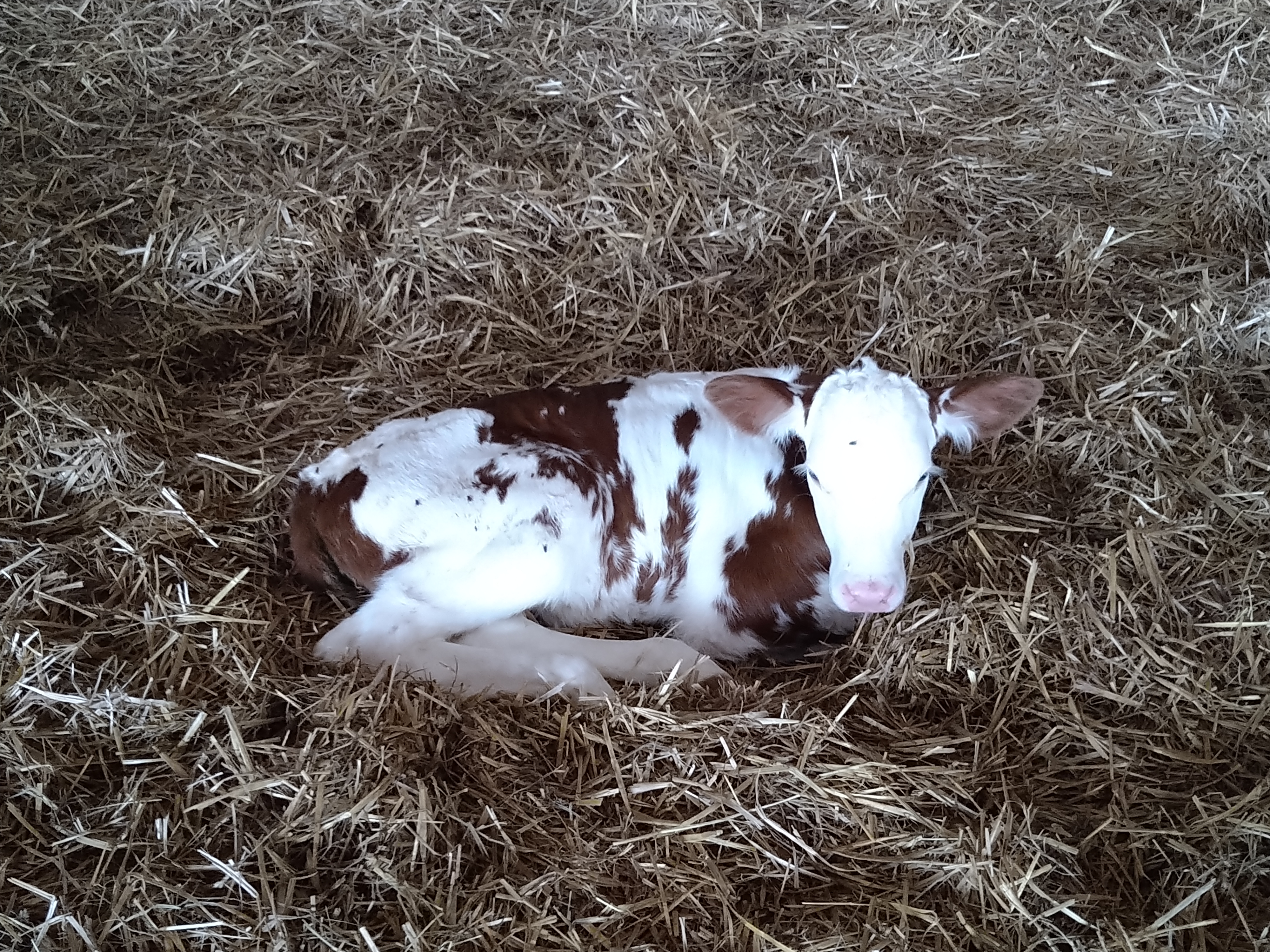 Photo n° 5 de l'avis de Cedric.i fait le 26/04/2022 à 15:57