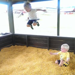 Farm «Warbington Farms (U-Pick Strawberries)», reviews and photos, 5555 Crow Rd, Cumming, GA 30041, USA