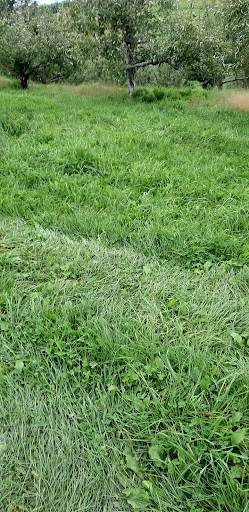 Orchard «Autumn Hills Orchard», reviews and photos, 495 Chicopee Row, Groton, MA 01450, USA