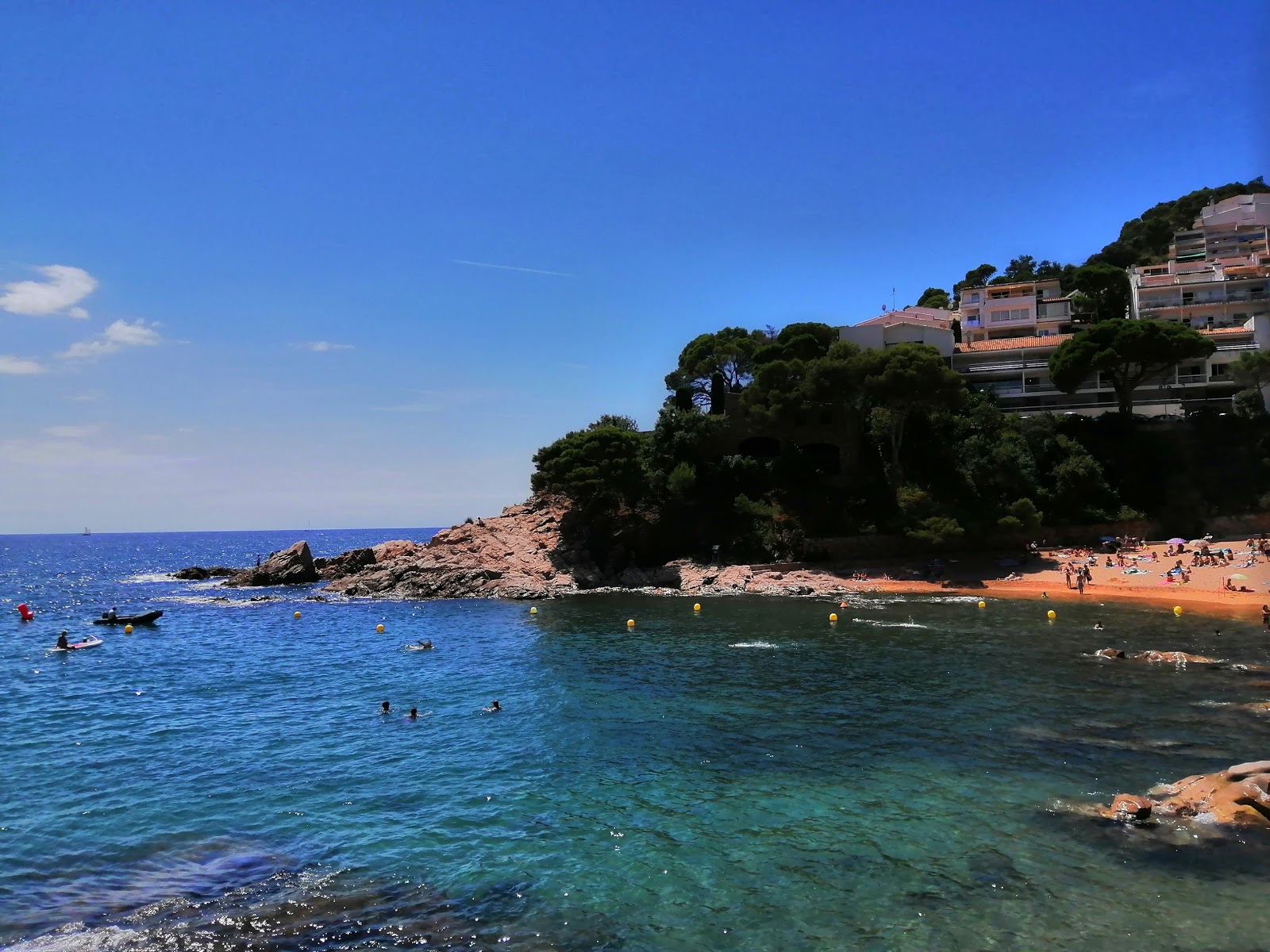 Photo of Cala Salionc wild area