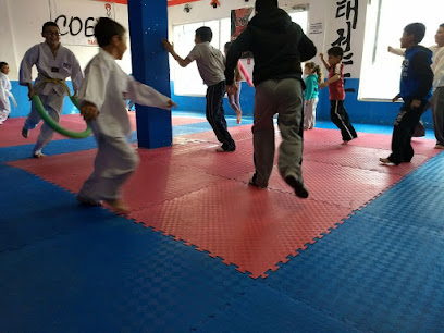 Coex Taekwondo