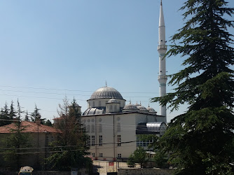 Aydın Köyü Cami