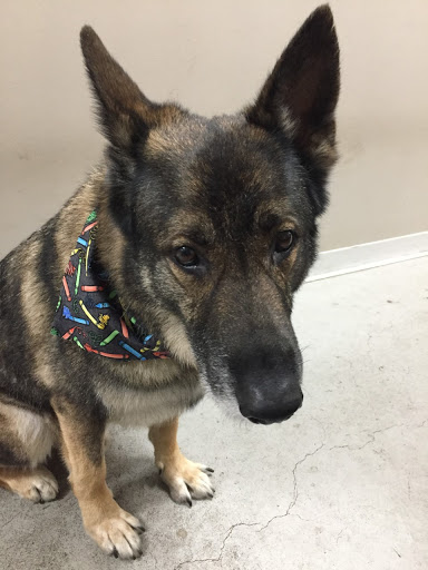 Paint Store «Country Paint and Hardware», reviews and photos, 2410 Foxon Rd, North Branford, CT 06471, USA