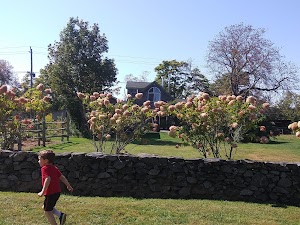 Windmill Hill Historic District - photo 57