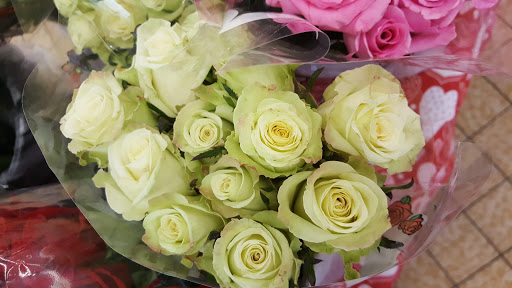 Supermarket «ALDI», reviews and photos, 1182 N Anderson Rd, Rock Hill, SC 29730, USA