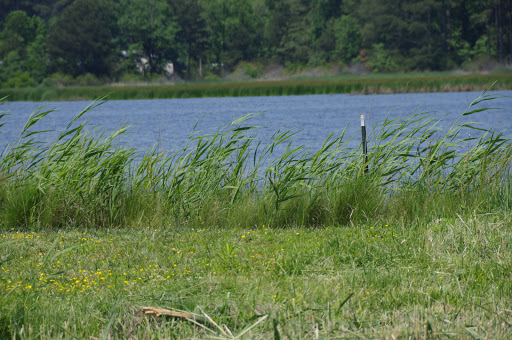 Boat Rental Service «Blackwater Paddle and Pedal Adventures», reviews and photos, 2524 Key Wallace Dr, Cambridge, MD 21613, USA