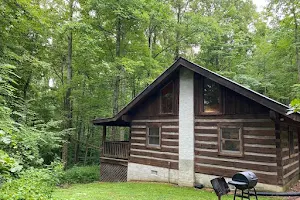 Cabins In the Pines image