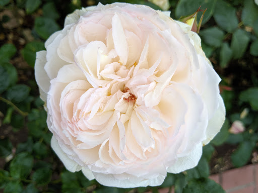 Modern Art Museum «Museum of Pop Culture», reviews and photos, 325 5th Ave N, Seattle, WA 98109, USA