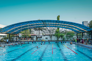 SDAT Dolphin Swimming Academy image