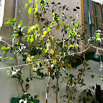 Photo n°3 de l'avis de Giada.s fait le 07/04/2024 à 17:51 sur le  Le Aurelie - Cucina e vino à Altofonte