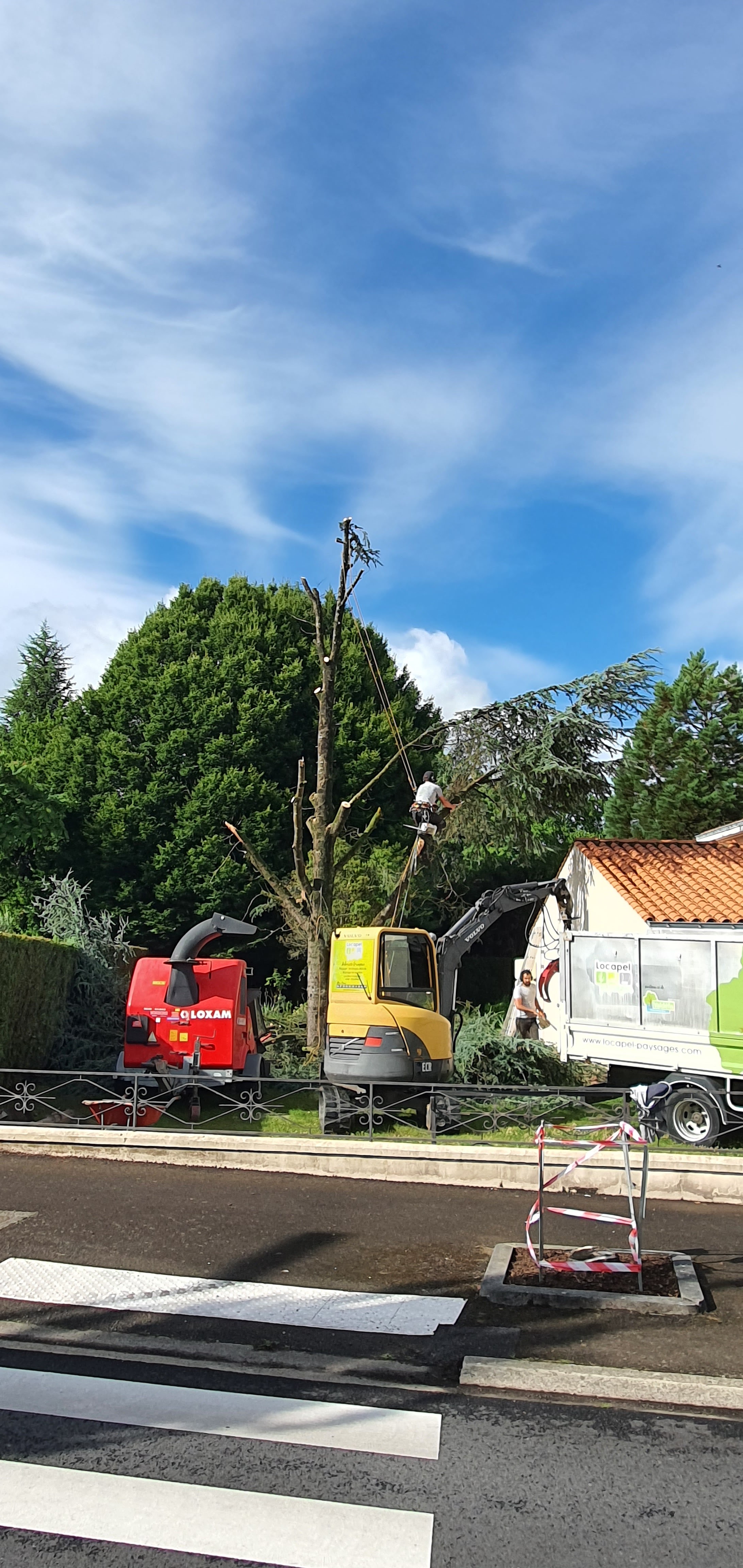 Photo n° 13 de l'avis de Oli. fait le 14/07/2021 à 15:34
