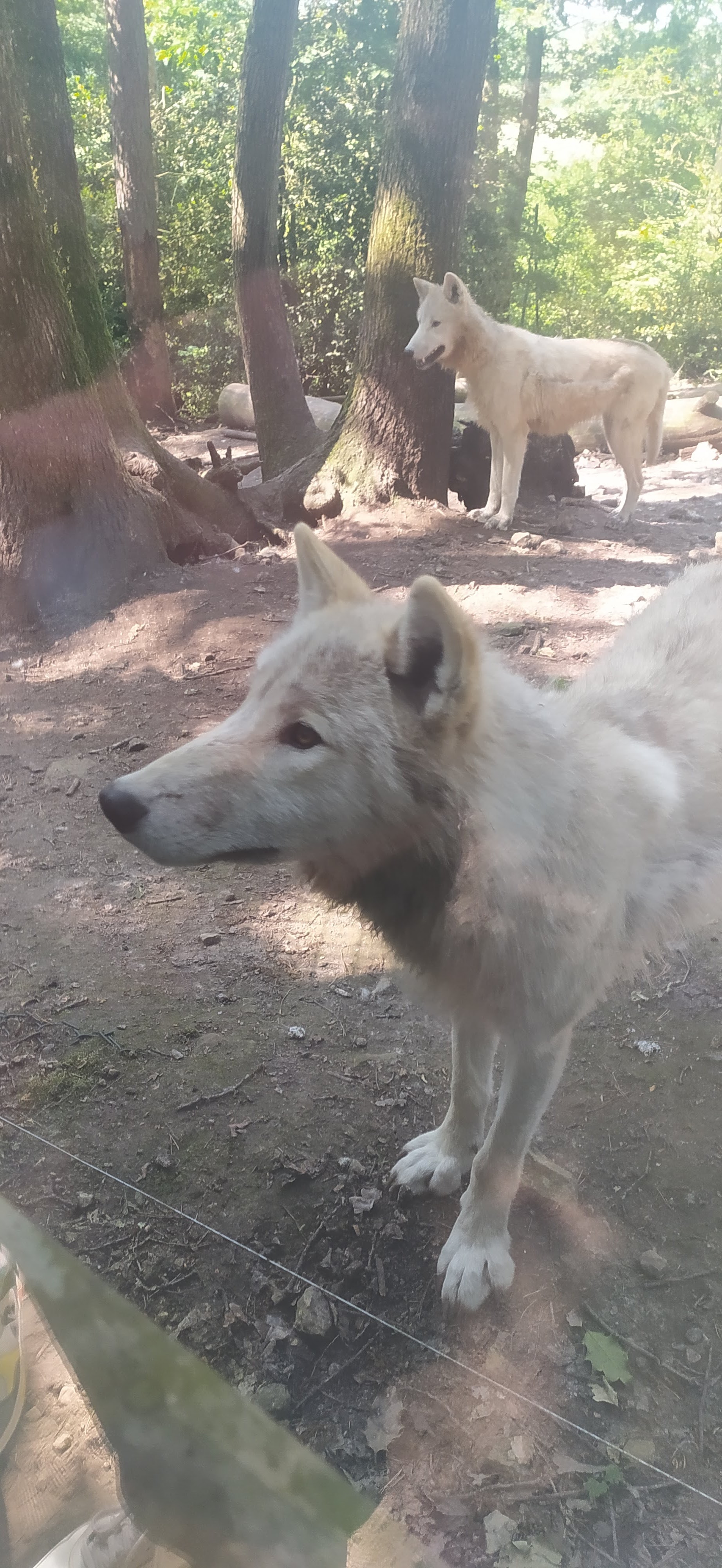 Photo n° 1 de l'avis de Florence. fait le 28/05/2023 à 17:49