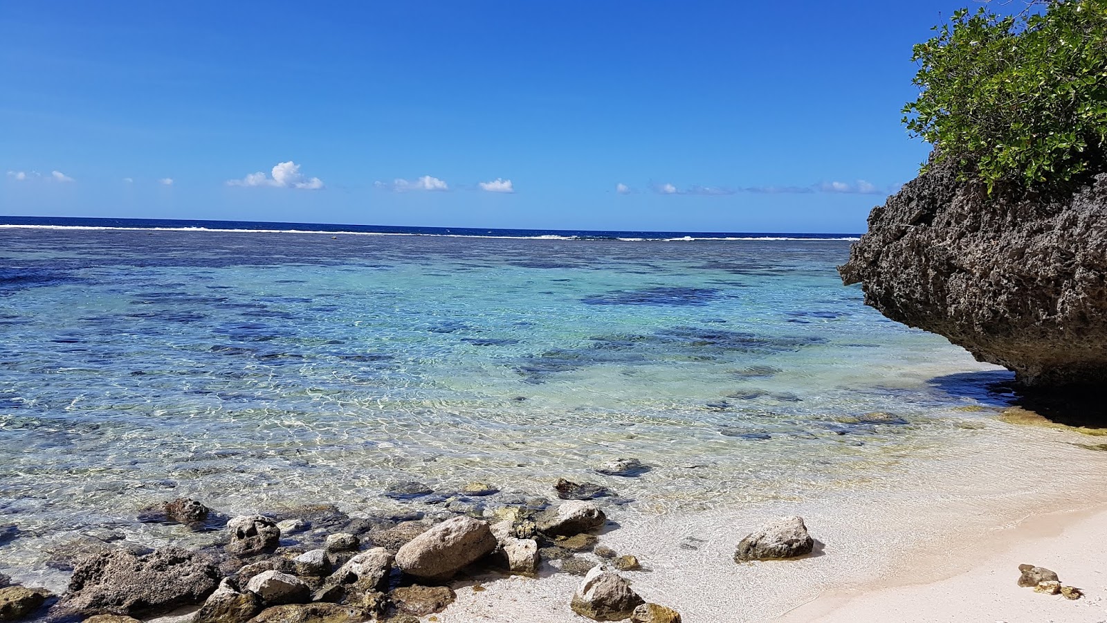 Fotografija Mushroom Rock Beach z turkizna čista voda površino