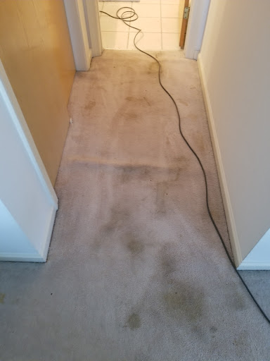 Carpet Cleaning Service «Colonial Chem-Dry», reviews and photos, 152 Milford St, Upton, MA 01568, USA