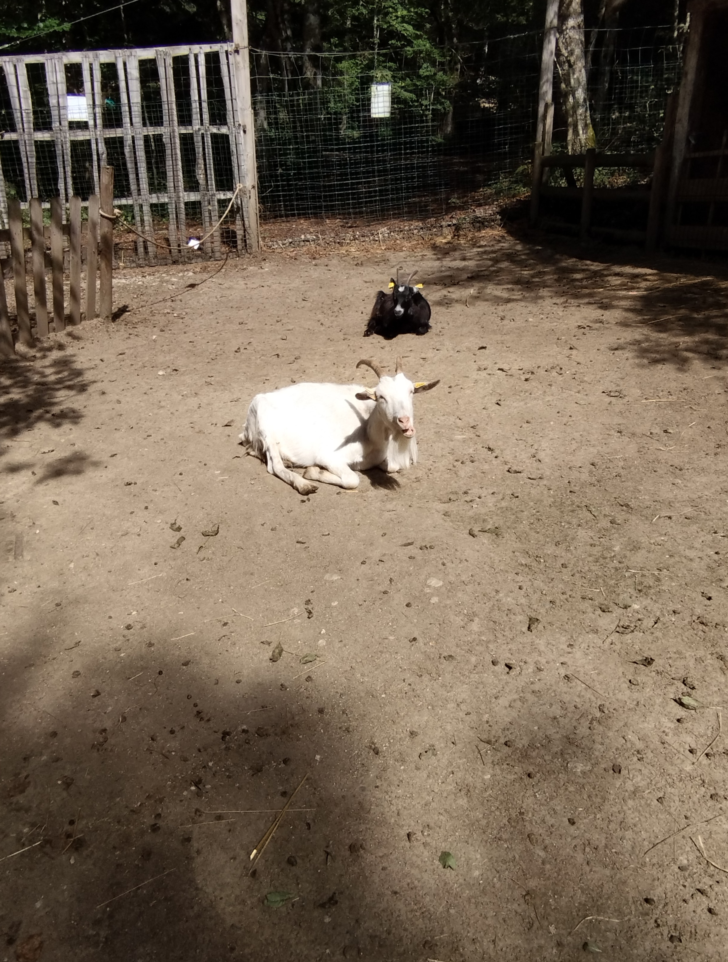 Photo n° 1 de l'avis de sandra.a fait le 20/09/2023 à 17:47