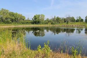 Greenbelt Forest Preserve image