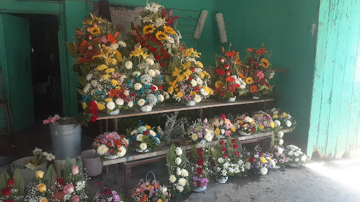 Floreria Orquidea – tam