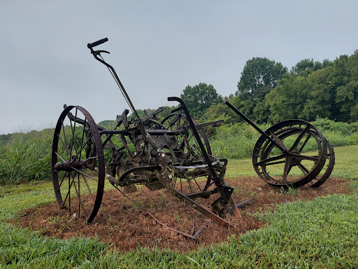 Ronnie Bowers Wetland Trail