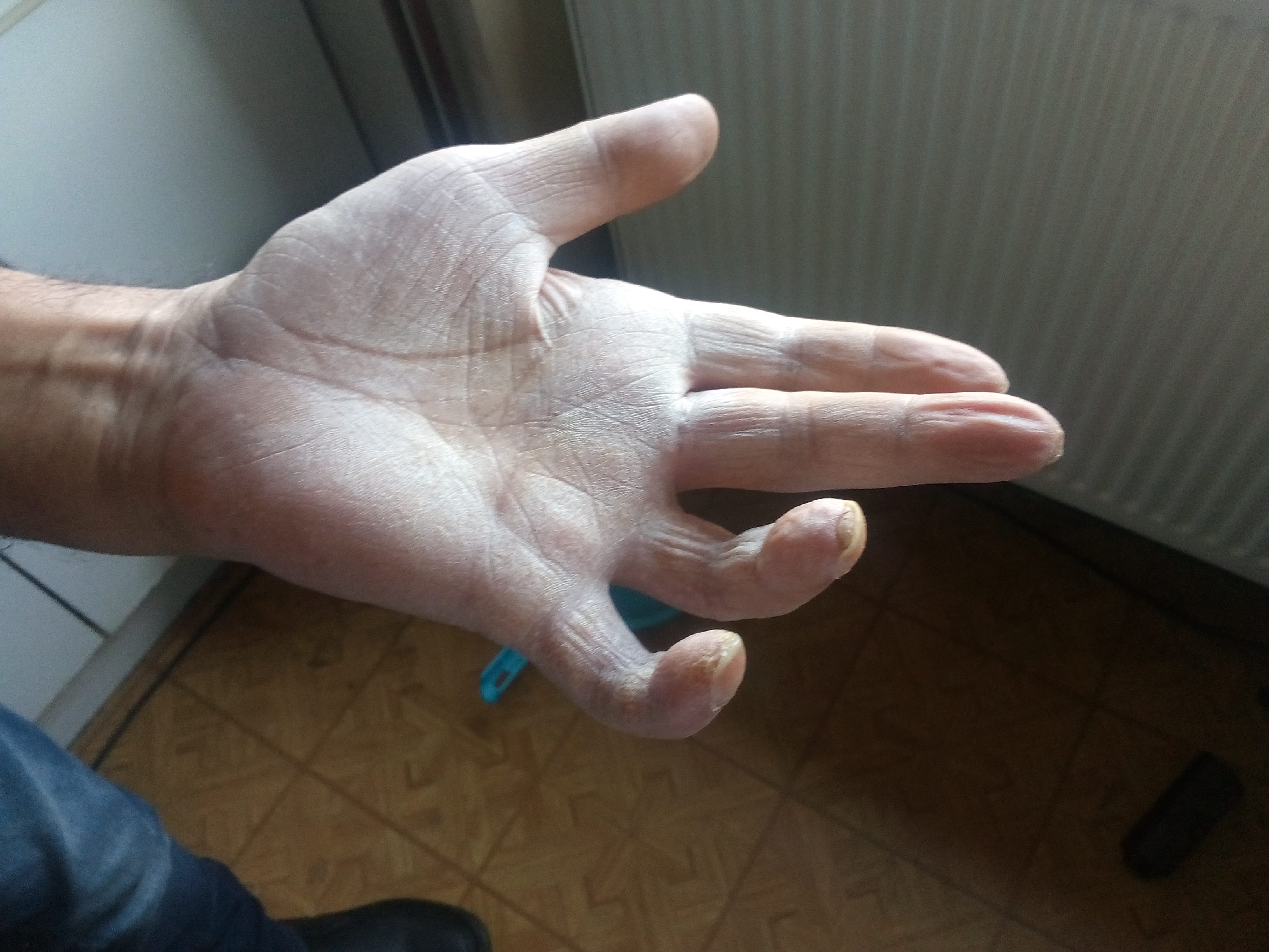 Photo n° 1 de l'avis de m.u fait le 15/02/2024 à 22:33