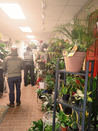 Florist «Blossom Shop», reviews and photos, 138 Orange St, New Haven, CT 06510, USA