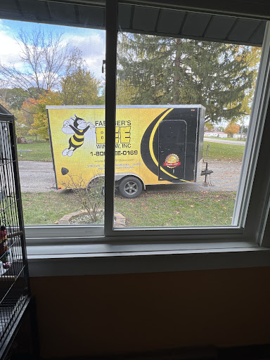 Window Installation Service «Bee Window», reviews and photos