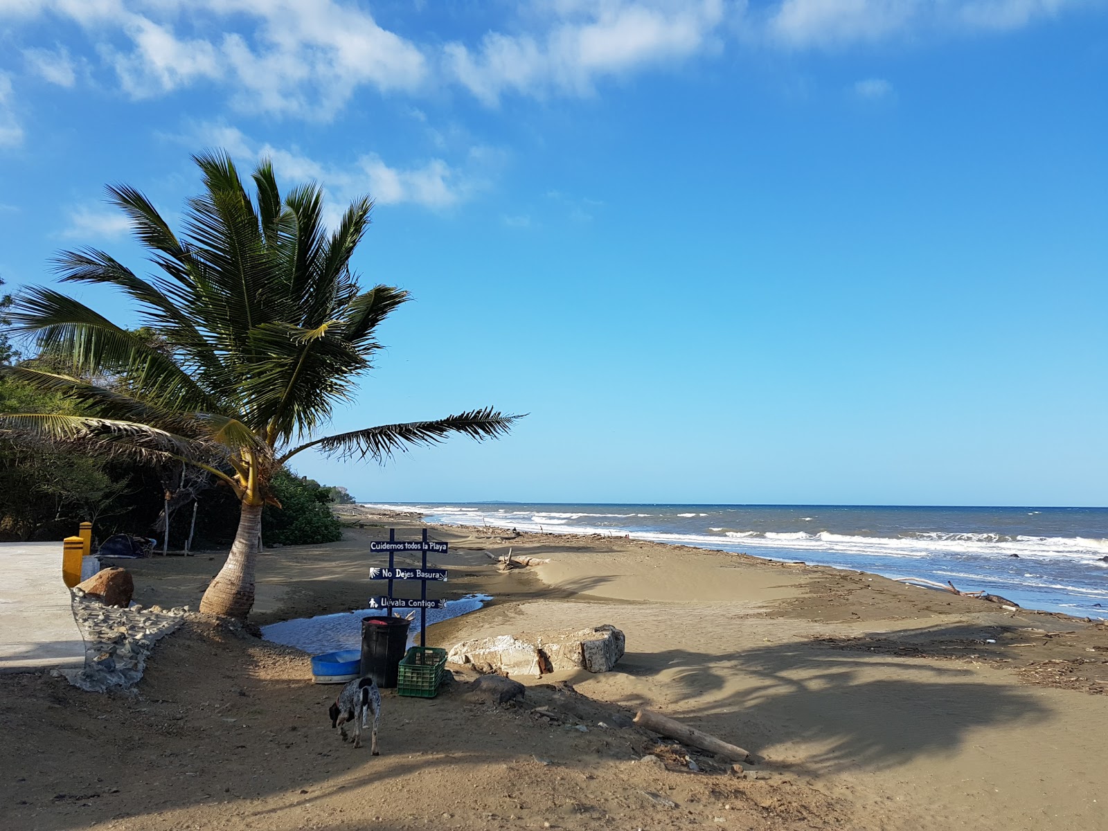 Photo de Bull Beach avec sable brun de surface