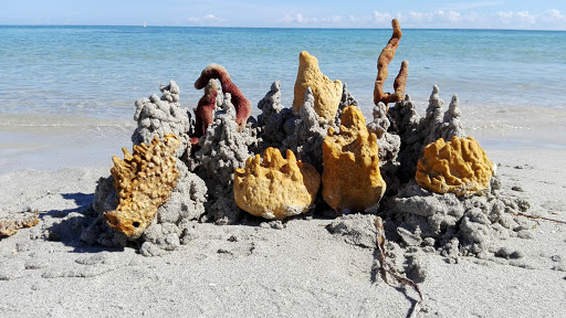 State Park «Bill Baggs Cape Florida State Park», reviews and photos, 1200 Crandon Blvd, Key Biscayne, FL 33149, USA