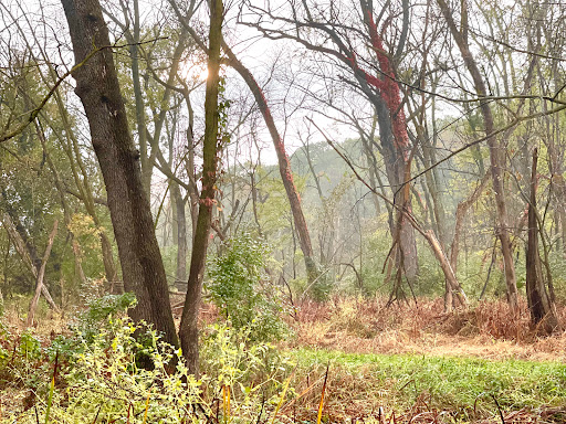 Nature Preserve «Crosby Farm Regional Park», reviews and photos, 2595 Crosby Farm Rd, St Paul, MN 55116, USA